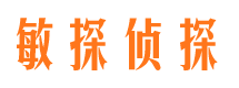 南山侦探公司